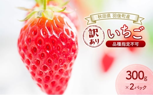 yHcH㒬zHc H㒬Y 󂠂  iws 300g×2pbN@[   C`S t[c ʕ ]