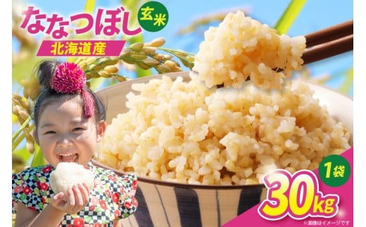 ykCsz V ߘa7N ȂȂڂ  30kg [JAVȂ kC s 12260852] ߘa7NY  _ r[Ly[