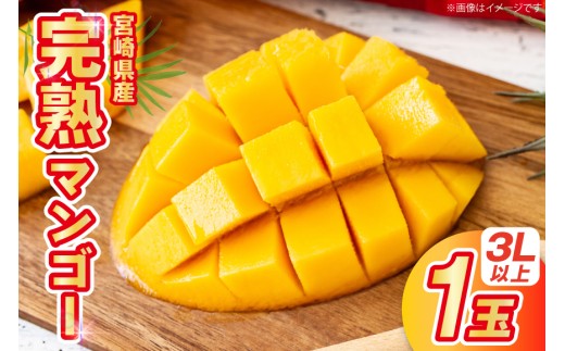 y{茧szyԌ蔭z }S[ {茧Y n}S[ 3L ȏ 1 [Tp[N {茧 s 452061246] { ʕ t[c Â