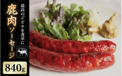 yODszyODscJYzcJ̒nh  \[Z[W 3{ 4pbN 1{70g   WrG nh I  Y wV[ J[ ς ᎉ ē BBQ o[xL