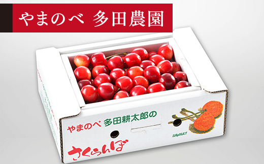 yR`RӒzss\t2026N R`Y g₩ ol(pbNj500g M`L ܂̂בckŶ TN{ F21A-393