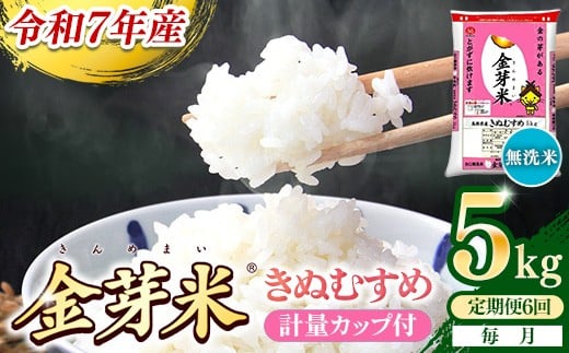 yszBGāEĂʂނ 5kg×6 ցyzvʃJbvtyߘa7NY 6 v30kg mCX N  sz