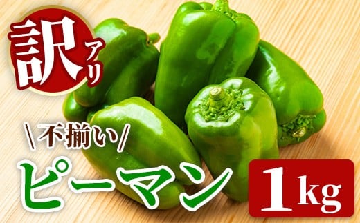 y茧֎szs\ s ̂ / _ƒ ty󂠂zӂ낢s[} 1kg s[}y2026N6{甭\z VN VN T_  BBQ KiO 󂠂  