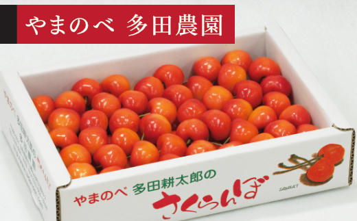 yR`RӒzss\t2026N R`Y gG ol 700g L~2LTCYȏ ܂̂בckŶ TN{ tn-bsxlb700