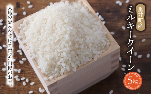 y򕌌䒬zsߘa7NYtsVāt򕌌Y ~L[NC[ 5kg  | 䒬Y    R    CX Yn Mtg p v[g s[^[