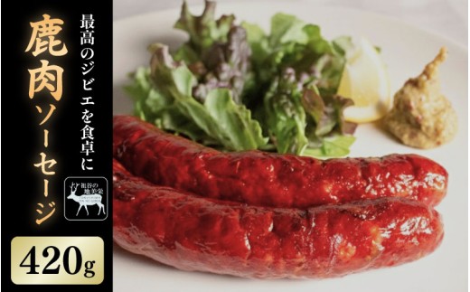 yODszyODscJYzcJ̒nh  \[Z[W 3{ 2pbN 1{70g   WrG nh I  Y wV[ J[ ς ᎉ ē BBQ o[xL