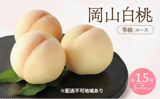 yR˓sz 2026N s\   G[X 1.5kg 5`7ʓ   R Y t[c ʕ Ύ [5735-3408]