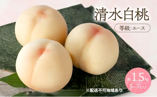 yR˓sz 2026N s\    G[X 1.5kg 5`7ʓ  R Y t[c ʕ Ύ [5735-3428]