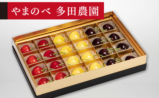 yR`RӒzss\t2026N R`Y RсEgGET~bg I݂єl24 ܂̂בckŶ TN{ F20A-787