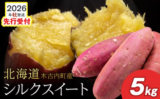 ykC،ÓzyHR_zkCY@܂@VNXC[g5kg