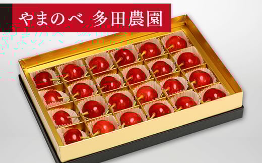 yR`RӒzss\t2026N R`Y ʍ ݂є24 ܂̂בckŶ TN{ F20A-039