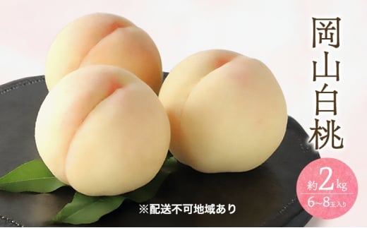 yR˓sz 2026N s\  2kg 6`8   R Y t[c ʕ Mtg Ύ [5735-3411]