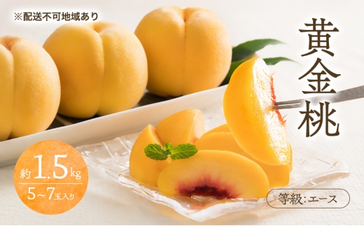 yR˓sz 2026N s\   G[X 1.5kg 5`7ʓ   R Y t[c ʕ Ύ [5735-3421]