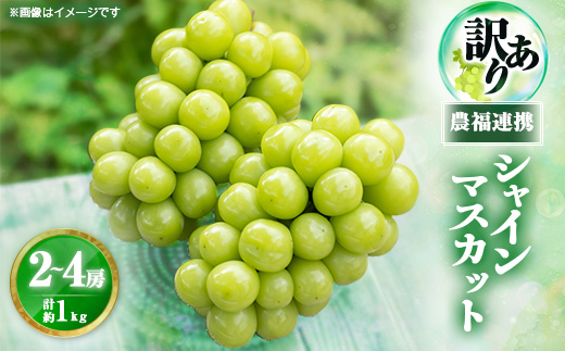 yRRsz2026Nstڂ͖󂠂?͖!_AgVC}XJbgv1kgƒpy1679907z