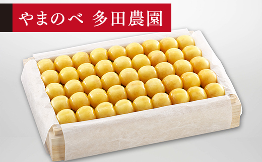 yR`RӒzss\t2026N R`Y IR ˔lߖ1100g ܂̂בckŶ TN{ F20A-064