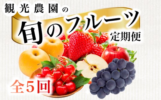 yLOszs2026Nxsttyt[c֑S5z   Ԃǂ   ؃t[c lߍ킹 ̂ꂽ VN Yn L Os 059021