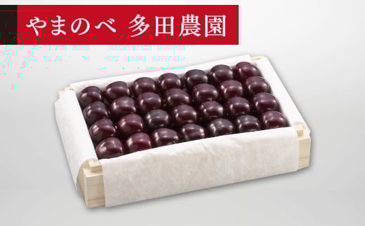 yR`RӒzss\t2026N R`Y IT~bg ˔l 700g ܂̂בckŶ TN{ F20A-789