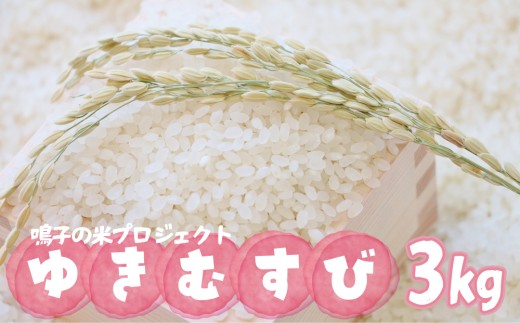 y{錧szq̕ăvWFNg 䂫ނ3kgy2025NYzb{錧sqY