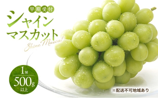 yR˓szԂǂ t VC }XJbg 1[i500gȏj uhE  RY Y t[c ʕ Mtg Ύ [5735-3436]