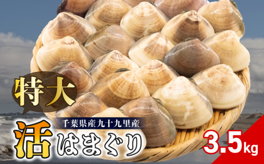 ytszVR ͂܂ 100-140gTCY 3.5kg  ͂܂   ① \㗢Y  L  CN L L o`  X`  O^ \㗢l j j ЂȂ