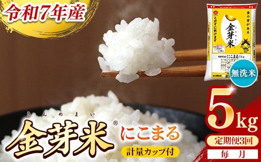 yszBGāEĂɂ܂ 5kg×3 ցyzvʃJbvtyߘa7NY 3 Z N  BG  v15kg Y ߐ Z AEghA Lv mCX 