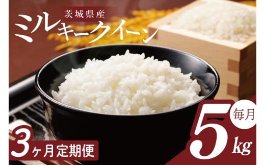 y錧sszy2026N2菇zy3ցzR7NY ~L[NC[ 5kgb    R7NY ߘa7NY ~L[NC[  錧 錧Y ss(HA-29)