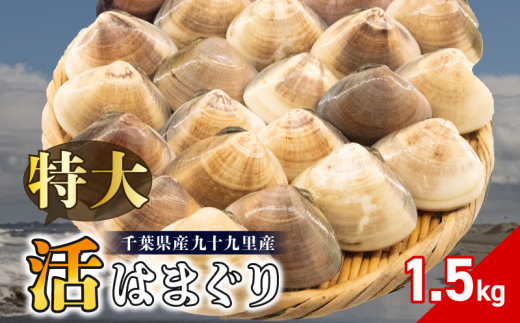 ytszVR ͂܂ 100-140gTCY 1.5kg  ͂܂   ① \㗢Y  L  CN L L o`  X`  O^ \㗢l j j ЂȂ