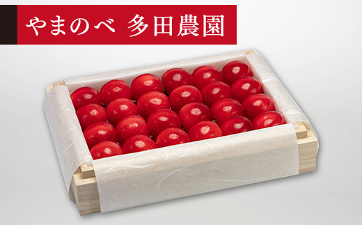 yR`RӒzss\t2026N R`Y I_CAiuCg ˔lߖ300g ܂̂בckŶ TN{ F20A-050