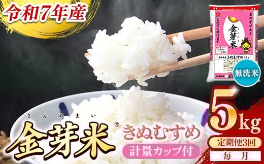 yszBGāEĂʂނ 5kg×3 ցyzvʃJbvtyߘa7NY 3 v15kg mCX N  szyiXz