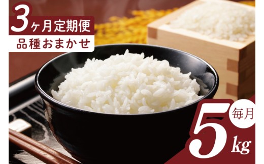 y錧sszy2026N2菇zy3ցzR7NY i킨܂ 5kgb    R7NY ߘa7NY Ђ RVqJ ~L[NC[ ɂ̂߂ 