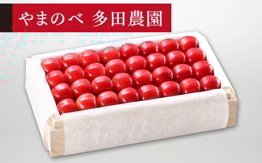 yR`RӒzss\t2026N R`Y I_CAiuCg ˔l 700g 2Lȏ ܂̂בckŶ TN{ F20A-057