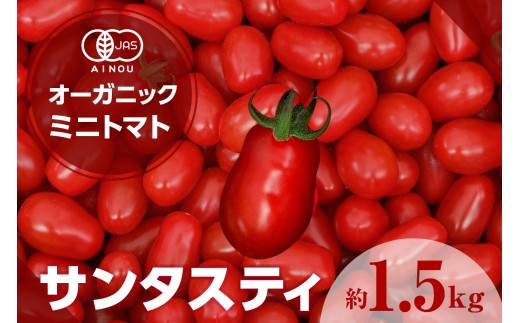 トマト様確認用 フルーツミニトマト【現地直売限定】 – まちだ農園