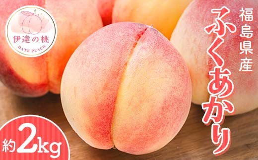 2026年出荷分先行予約】福島県産 ふくあかり 約2kg (7～10玉) 斎藤果樹