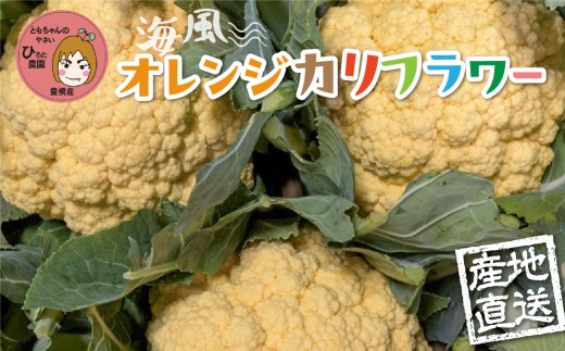 ymLszIWJt[ 4 ʂ IW Jt[ Ԗ ʂ Ƃ̂₳ Y m LY