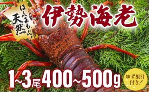 ymmzYɐCVyI100Zbgz Y mY VR VN CN 䂸ʏ`t hg Ă {C l  j LO 蕨   S217