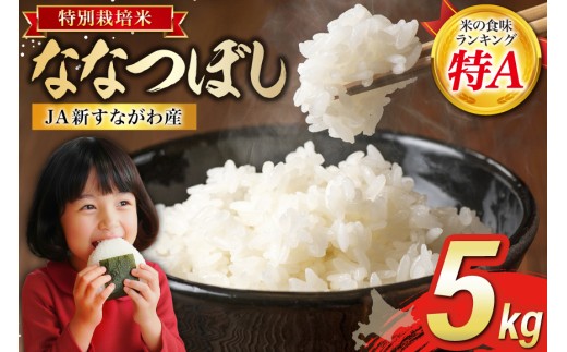 ykCsz AN ߘa7N JAVȂY ͕ ȂȂڂ 5kg [zN kC s 12260805]  R  ͂  Y r[Ly[