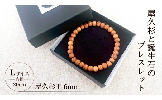 yvzv6mmʃuXbgy20cm (L)z