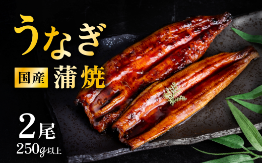 y錧Ȏszy EeʂIׂI zy 01 z Y Ȃ イȂ2 250gȏ Rt V EiM  ^ Ղ ȏd Vd Ђ܂Ԃ