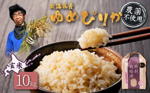 ykCHyzy2025NYzkCY ʍ͔| ߂҂肩  10kgiw엿E_sgpj |   ͂ ߂҂肩 _sgp N aH ߂Ă ٓp  