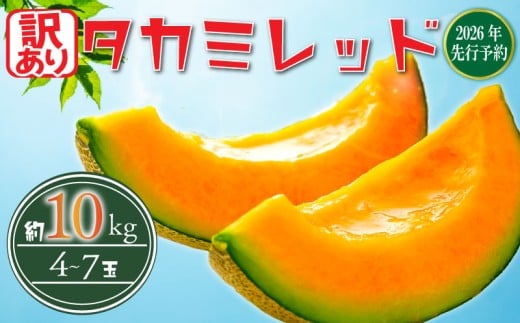 ytszy 2026N s\ z 󂠂  ԓ 10kg ȏ (2`6L) (4`7) ʕ  t[c ^J~bh ߂ meron Mbh fU[g x   lC { A