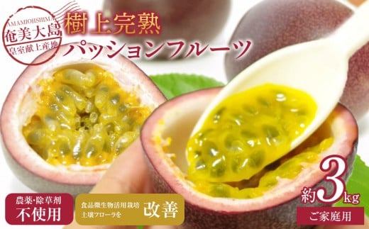 y˓z2026Nsty_Eܕsgpz哇Y㊮npbVt[cRkg