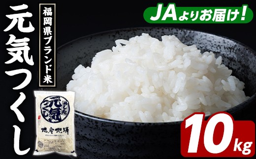 yzuh C (10kgE5kg×2)   R   񂫂  ͂  Y uh 퉷 퉷ۑ ɂ ނ ٓ y_Y