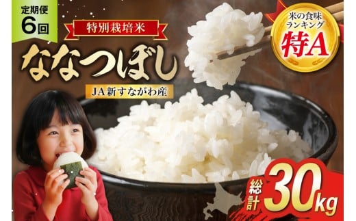 ykCsz6  JAVȂY ͕ĂȂȂڂ 5kg×6 v30kg [zN kC s 12260796]   R  ͂  Y r[Ly[