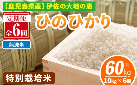 yɍszisa517-B y6z āIׂ鐸ĕ@Iߘa7NY ɍY ʍ͔|Ђ̂Ђ(v60kgE10kg×6) Y    ɍ   Y Ђ̂