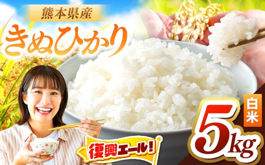 yF{ʖszߘa7NY ʂЂ 5kg |      LkqJ 5L Y Y ܂ F{ F{ ʖs ʖ