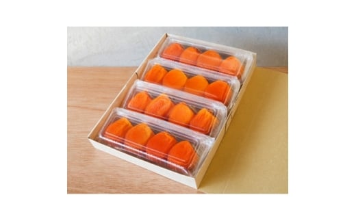 yRRszォ󂯌p}V^́wۊ`x1kgly1685037z