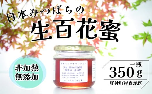 y̕tzA96001 {~co` S I(350g) ݗǂ̎ LȎȒ蕨 MdȐ݂͂II n`~c ݂͂ nj[  Y  {~co` ݂͂ I