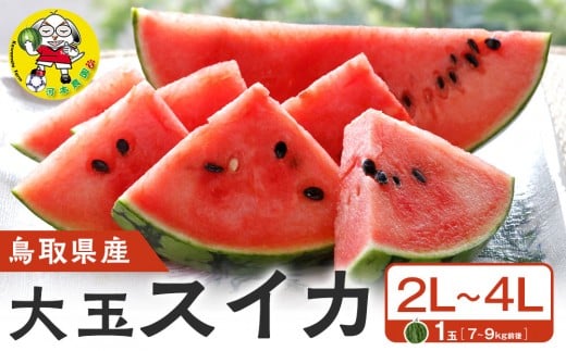 y挧khz1117.挧Y ʃXCJ 1 7-9LO2L-4LTCYi̕ԗíAhZł͂܂j