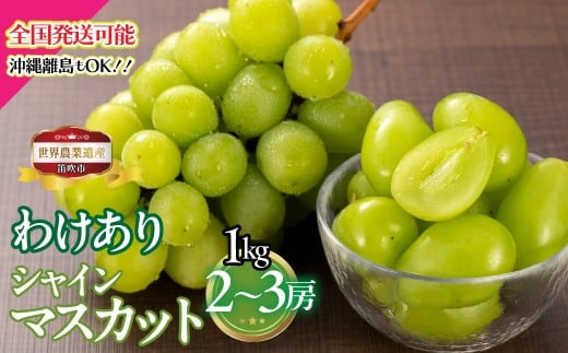 yRJszy2026Ns\zRJsY@킯VC}XJbg@1kg@2[3[ 223-008-26y