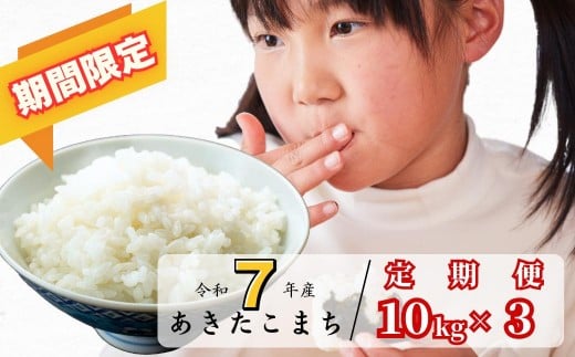 yRqzsԌty3ցz 10kg ߘa7NY ܂ R 킭猹 K-bg-BEGA